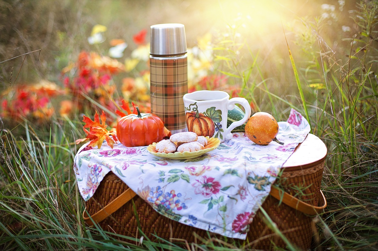 Picknickkorb in der Herbstwiese